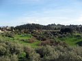 Boboli Gardens-25